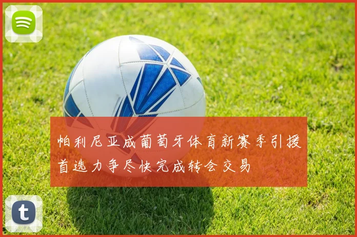 帕利尼亚成葡萄牙体育新赛季引援首选力争尽快完成转会交易