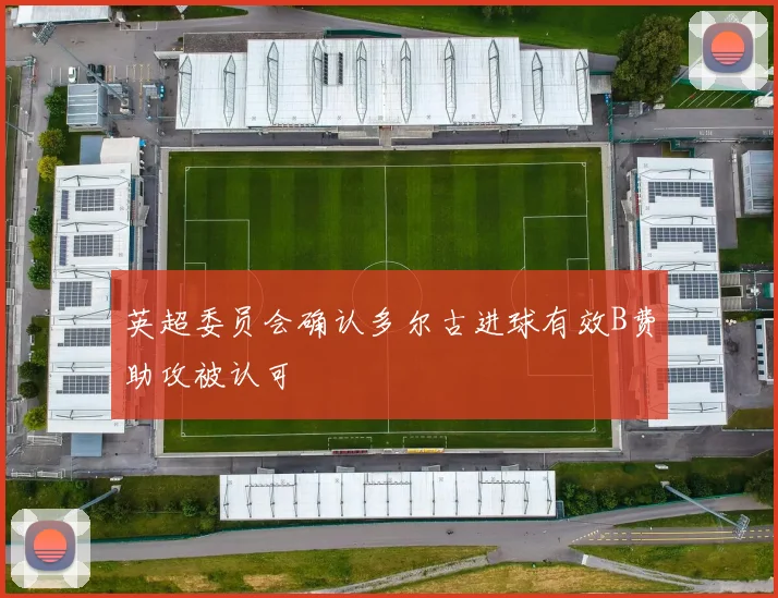 英超委员会确认多尔古进球有效B费助攻被认可