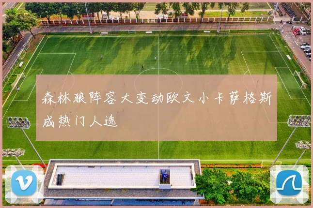 森林狼阵容大变动欧文小卡萨格斯成热门人选
