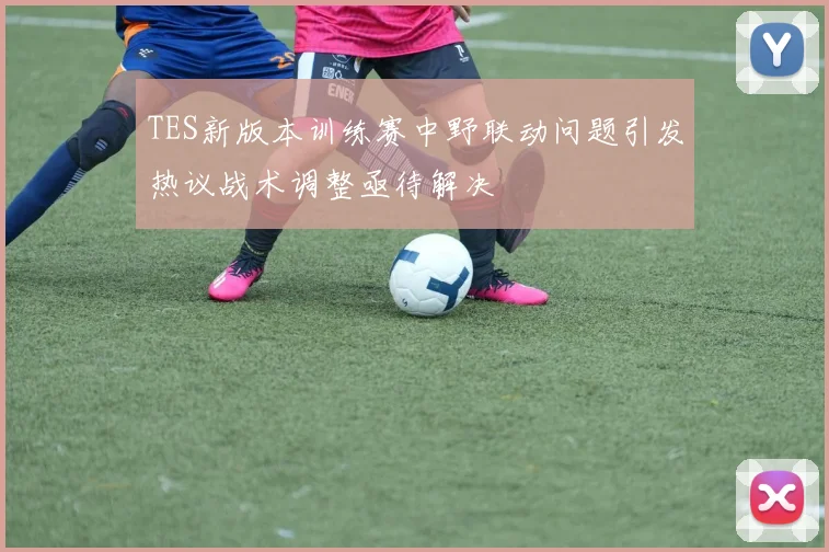 TES新版本训练赛中野联动问题引发热议战术调整亟待解决