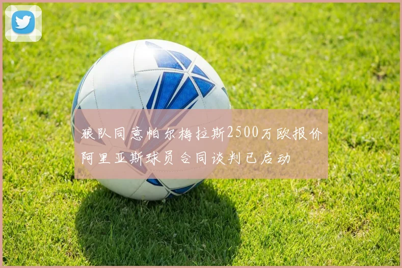狼队同意帕尔梅拉斯2500万欧报价阿里亚斯球员合同谈判已启动