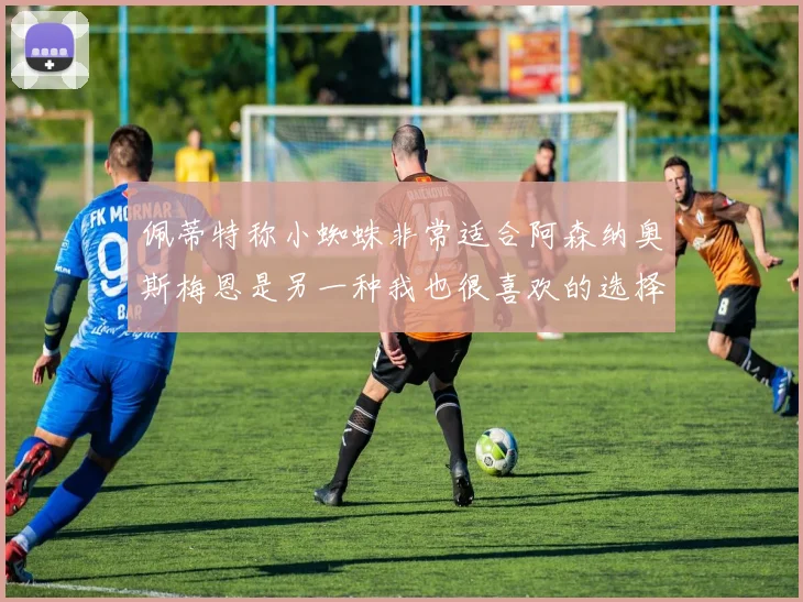 佩蒂特称小蜘蛛非常适合阿森纳奥斯梅恩是另一种我也很喜欢的选择